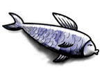 Bluesfish